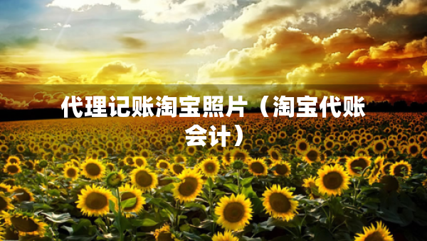 代理記賬淘寶照片（淘寶代賬會計）