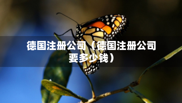 德國(guó)注冊(cè)公司（德國(guó)注冊(cè)公司要多少錢(qián)）