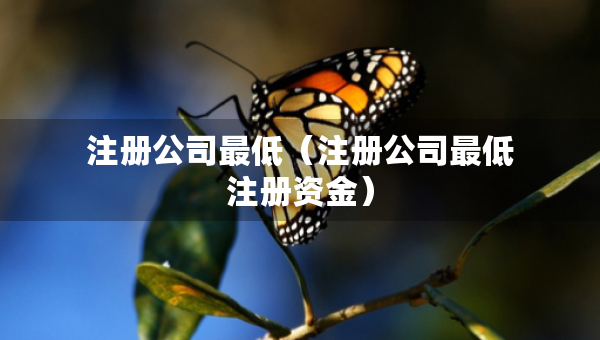 注冊公司最低（注冊公司最低注冊資金）