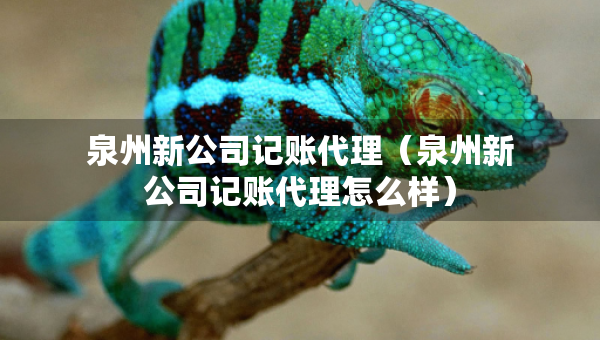 泉州新公司記賬代理（泉州新公司記賬代理怎么樣）
