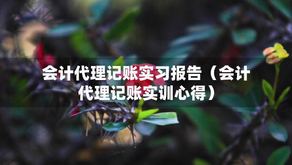 會計代理記賬實習報告（會計代理記賬實訓心得）