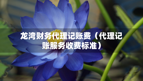 龍灣財(cái)務(wù)代理記賬費(fèi)（代理記賬服務(wù)收費(fèi)標(biāo)準(zhǔn)）