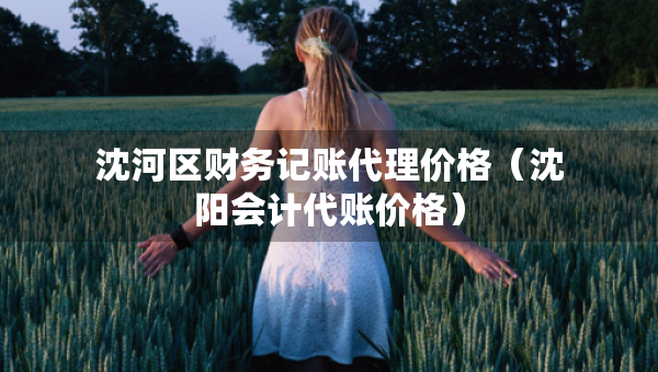 沈河區(qū)財(cái)務(wù)記賬代理價(jià)格（沈陽(yáng)會(huì)計(jì)代賬價(jià)格）