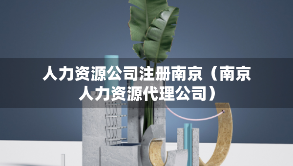 人力資源公司注冊南京（南京人力資源代理公司）