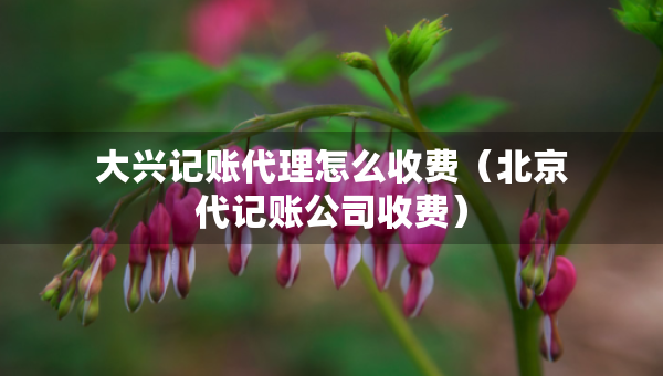 大興記賬代理怎么收費(fèi)（北京代記賬公司收費(fèi)）