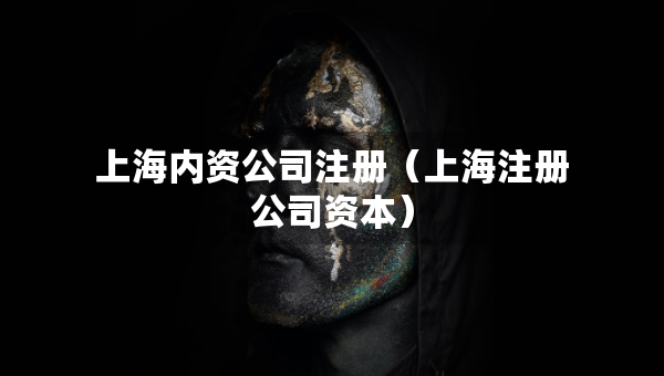 上海內(nèi)資公司注冊（上海注冊公司資本）