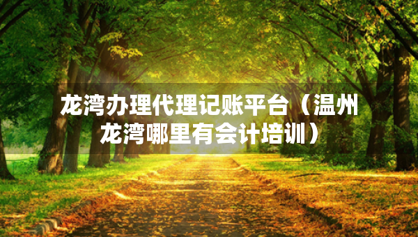 龍灣辦理代理記賬平臺(tái)（溫州龍灣哪里有會(huì)計(jì)培訓(xùn)）