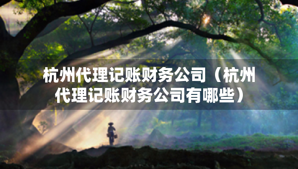 杭州代理記賬財務(wù)公司（杭州代理記賬財務(wù)公司有哪些）