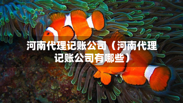 河南代理記賬公司（河南代理記賬公司有哪些）