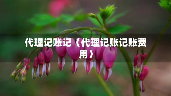 代理記賬記（代理記賬記賬費(fèi)用）