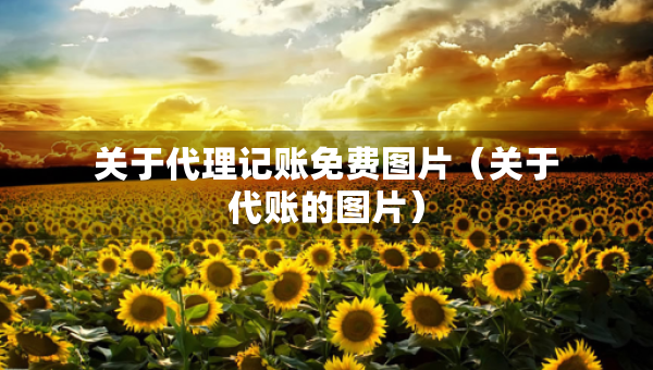 關(guān)于代理記賬免費圖片（關(guān)于代賬的圖片）