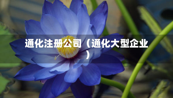 通化注冊公司（通化大型企業(yè)）
