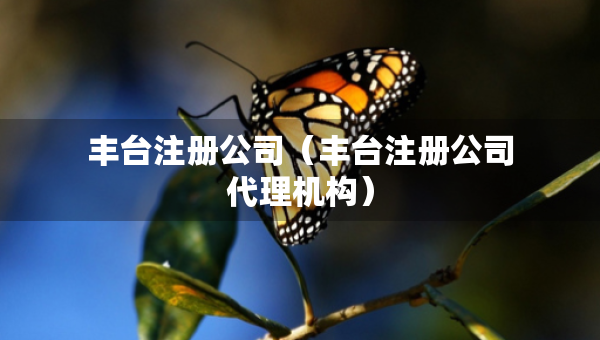 豐臺(tái)注冊(cè)公司（豐臺(tái)注冊(cè)公司代理機(jī)構(gòu)）