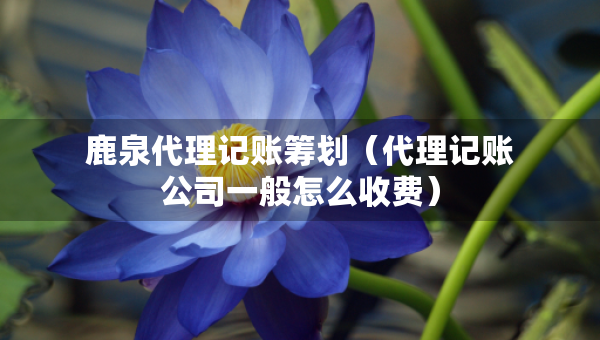 鹿泉代理記賬籌劃（代理記賬公司一般怎么收費(fèi)）
