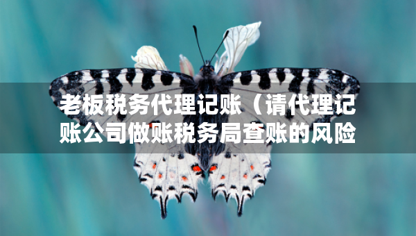 老板稅務(wù)代理記賬（請(qǐng)代理記賬公司做賬稅務(wù)局查賬的風(fēng)險(xiǎn)大嗎）