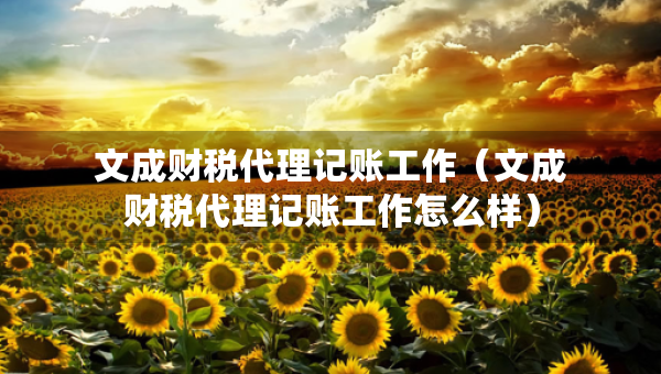 文成財(cái)稅代理記賬工作（文成財(cái)稅代理記賬工作怎么樣）
