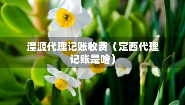 湟源代理記賬收費(fèi)（定西代理記賬是啥）