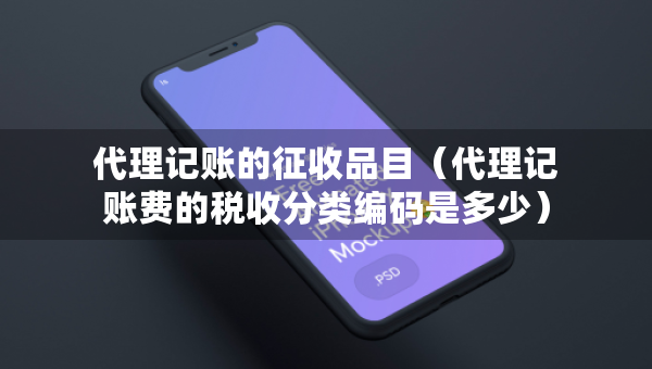 代理記賬的征收品目（代理記賬費(fèi)的稅收分類編碼是多少）