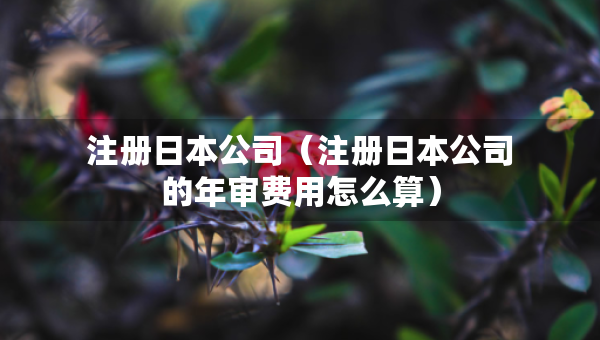 注冊日本公司（注冊日本公司的年審費(fèi)用怎么算）