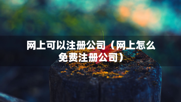 網(wǎng)上可以注冊公司（網(wǎng)上怎么免費(fèi)注冊公司）