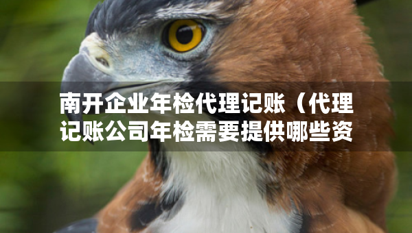 南開企業(yè)年檢代理記賬（代理記賬公司年檢需要提供哪些資料）