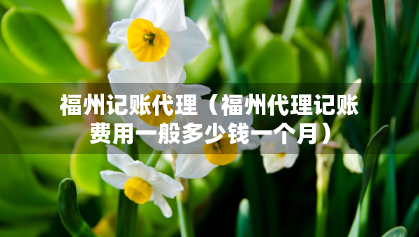 福州記賬代理（福州代理記賬費用一般多少錢一個月）