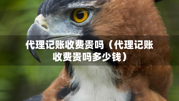 代理記賬收費貴嗎（代理記賬收費貴嗎多少錢）