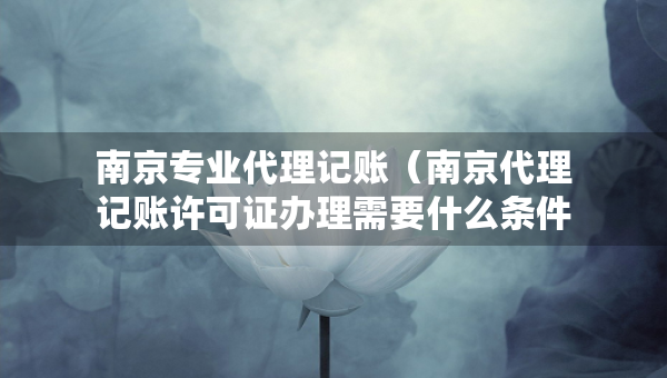 南京專業(yè)代理記賬（南京代理記賬許可證辦理需要什么條件）
