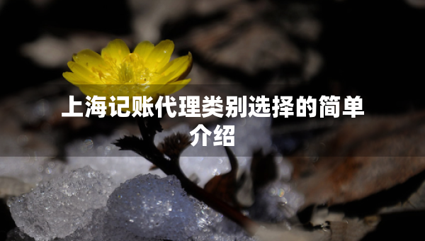 上海記賬代理類別選擇的簡單介紹