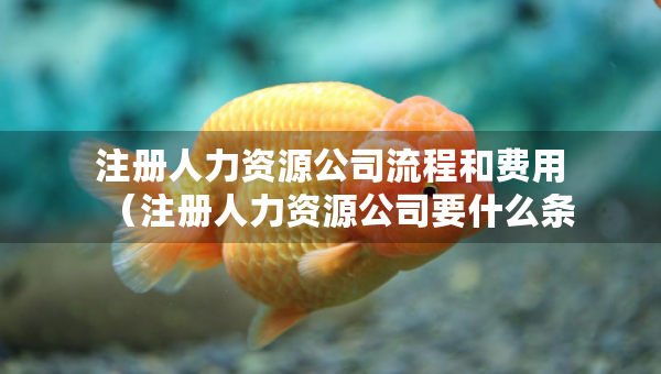 注冊(cè)人力資源公司流程和費(fèi)用（注冊(cè)人力資源公司要什么條件）