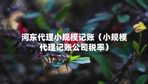 河?xùn)|代理小規(guī)模記賬（小規(guī)模代理記賬公司稅率）