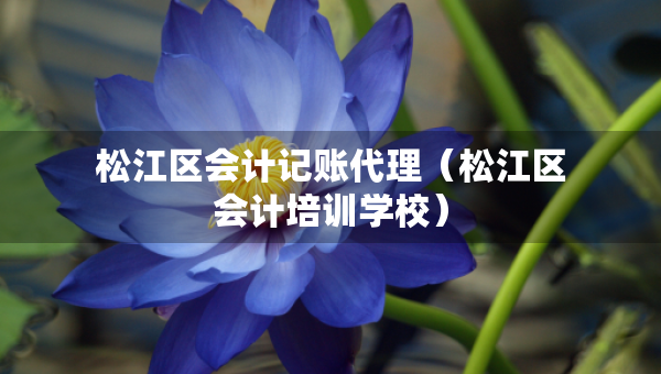 松江區(qū)會計記賬代理（松江區(qū)會計培訓(xùn)學(xué)校）