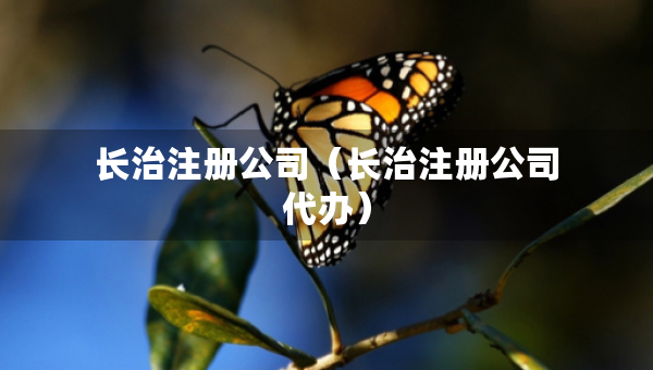 長治注冊公司（長治注冊公司代辦）