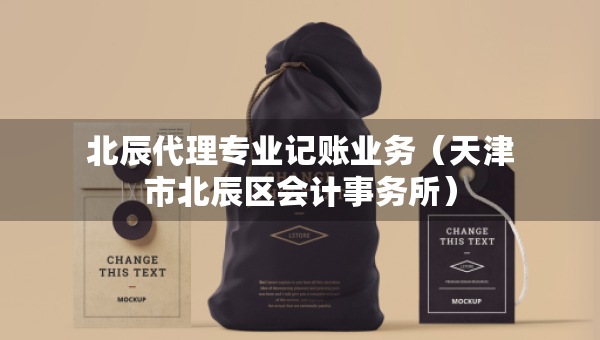 北辰代理專業(yè)記賬業(yè)務(wù)（天津市北辰區(qū)會計事務(wù)所）