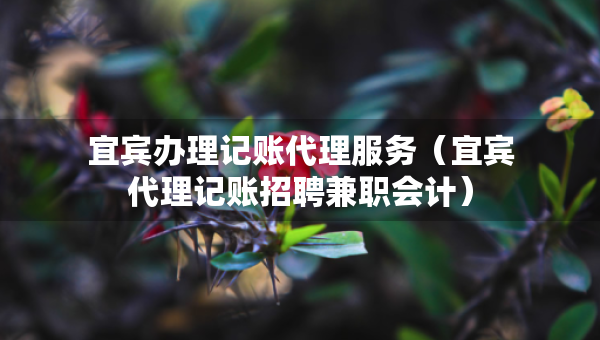 宜賓辦理記賬代理服務(wù)（宜賓代理記賬招聘兼職會計(jì)）