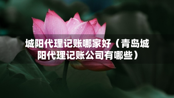 城陽代理記賬哪家好（青島城陽代理記賬公司有哪些）