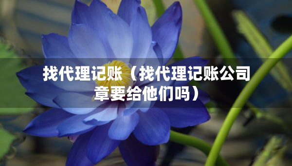 找代理記賬（找代理記賬公司章要給他們嗎）