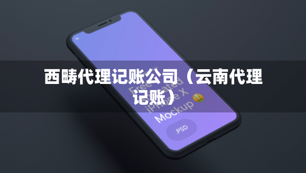 西疇代理記賬公司（云南代理記賬）