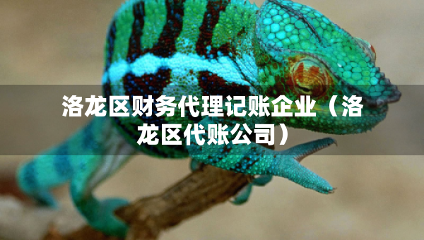 洛龍區(qū)財務代理記賬企業(yè)（洛龍區(qū)代賬公司）
