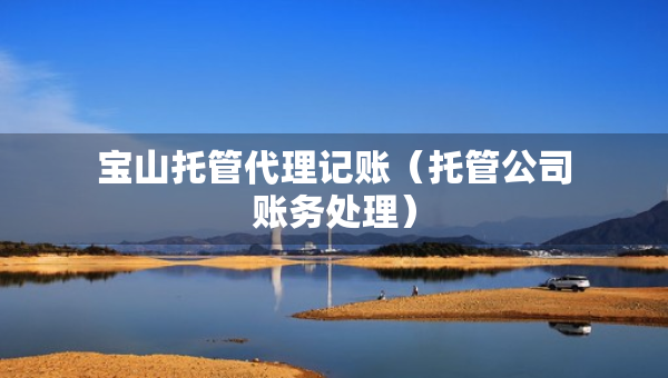 寶山托管代理記賬（托管公司賬務(wù)處理）