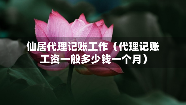 仙居代理記賬工作（代理記賬工資一般多少錢一個(gè)月）