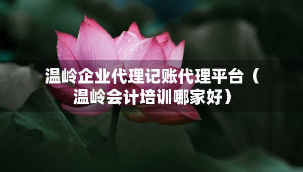 溫嶺企業(yè)代理記賬代理平臺(tái)（溫嶺會(huì)計(jì)培訓(xùn)哪家好）
