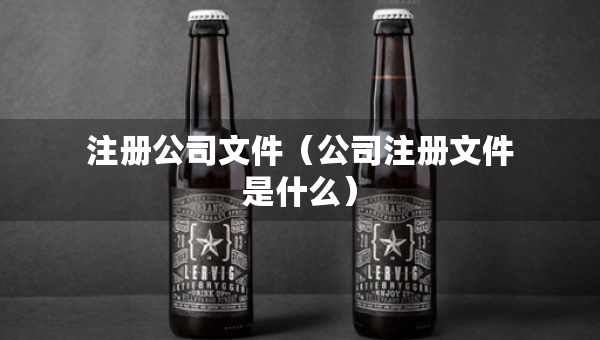 注冊(cè)公司文件（公司注冊(cè)文件是什么）