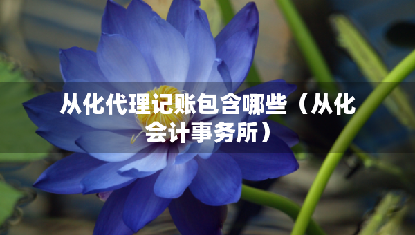 從化代理記賬包含哪些（從化會計事務(wù)所）