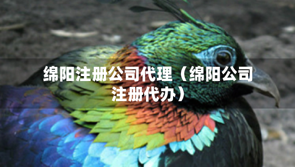 綿陽注冊公司代理（綿陽公司注冊代辦）