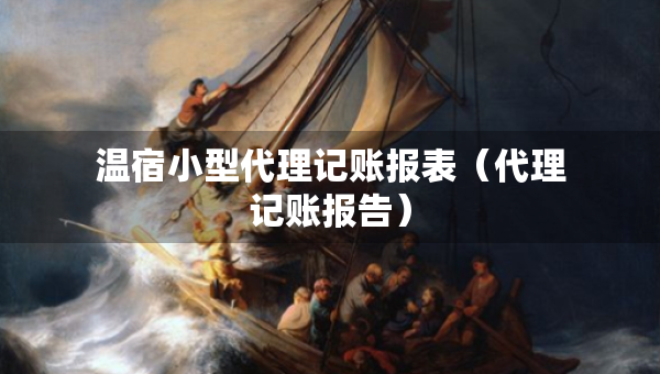 溫宿小型代理記賬報表（代理記賬報告）