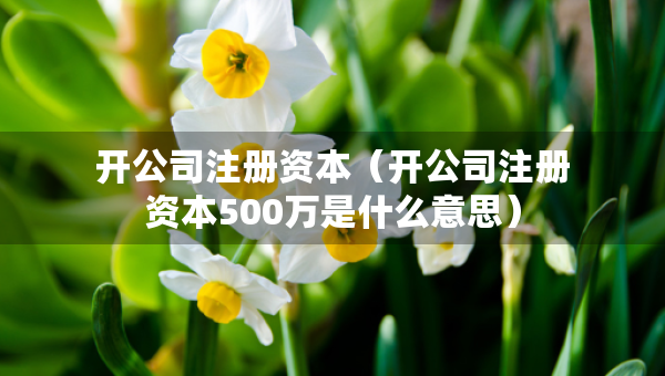 開公司注冊(cè)資本（開公司注冊(cè)資本500萬是什么意思）