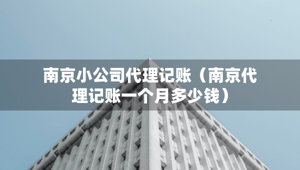 南京小公司代理記賬（南京代理記賬一個月多少錢）