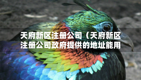 天府新區(qū)注冊公司（天府新區(qū)注冊公司政府提供的地址能用幾年）