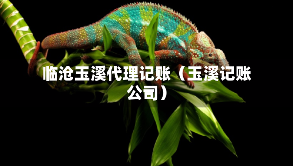 臨滄玉溪代理記賬（玉溪記賬公司）